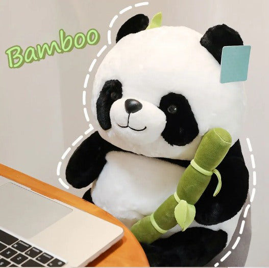 pandita bambu